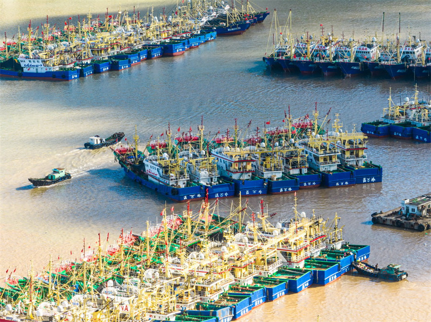 Milhares de barcos de pesca est?o prontos para a pesca