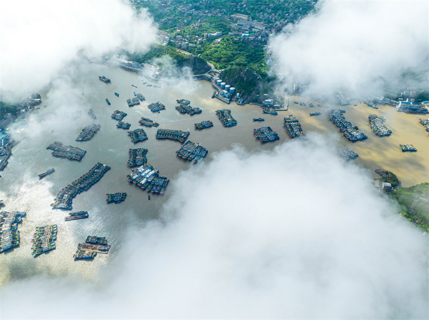 Milhares de barcos de pesca est?o prontos para a pesca