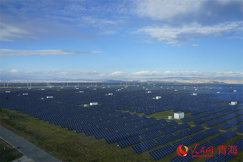 Qinghai: explora??o de energia solar dá origem a ecossistema peculiar