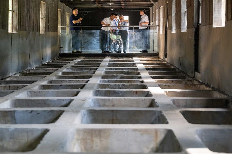 Ex-membro da unidade japonesa de guerra biológica exp?e crimes de guerra na China