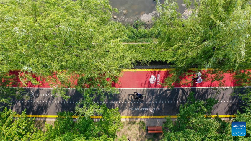 Uma olhada da barreira de seguran?a ecológica no norte da China