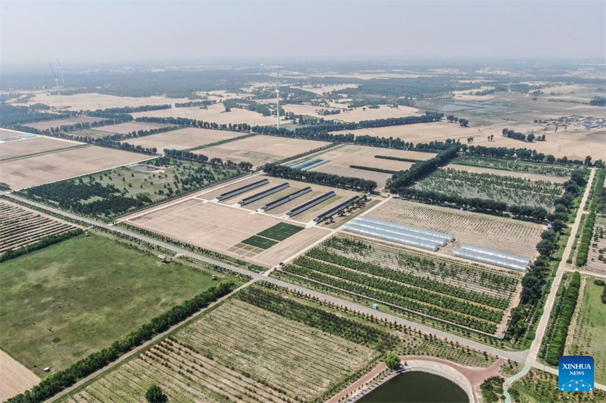 Uma olhada da barreira de seguran?a ecológica no norte da China