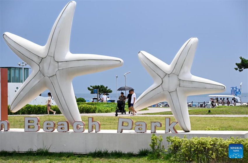 Shandong vê progresso na restaura??o ecológica marítima