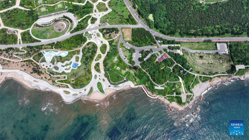 Shandong vê progresso na restaura??o ecológica marítima