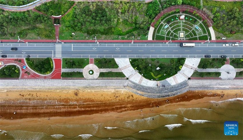 Shandong vê progresso na restaura??o ecológica marítima
