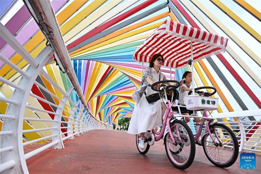 Shandong vê progresso na restaura??o ecológica marítima