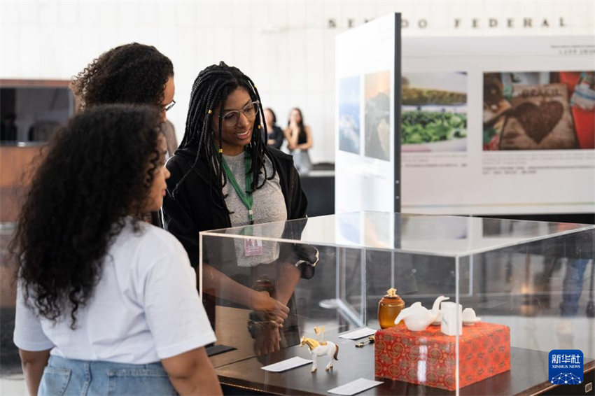 Galeria: Brasília celebra os 50 anos de rela??es diplomáticas Brasil-China