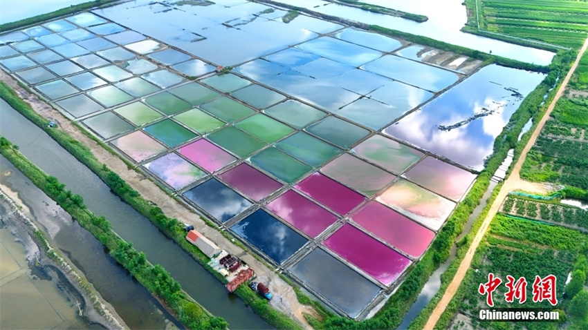 Galeria:?campos?de?sal?coloridos?em?Rongcheng