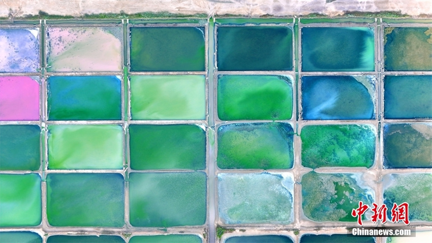 Galeria:?campos?de?sal?coloridos?em?Rongcheng