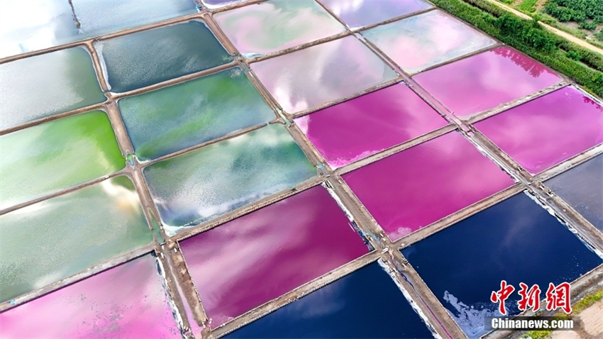 Galeria:?campos?de?sal?coloridos?em?Rongcheng