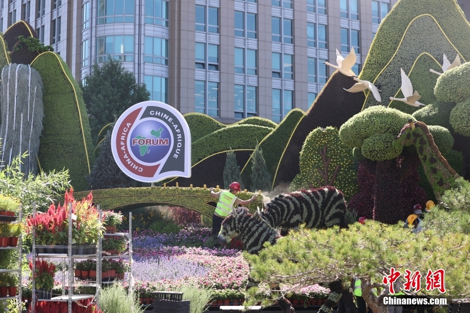 Canteiros temáticos instalados em Beijing para Fórum de Coopera??o China-áfrica