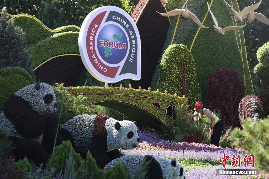 Canteiros temáticos instalados em Beijing para Fórum de Coopera??o China-áfrica