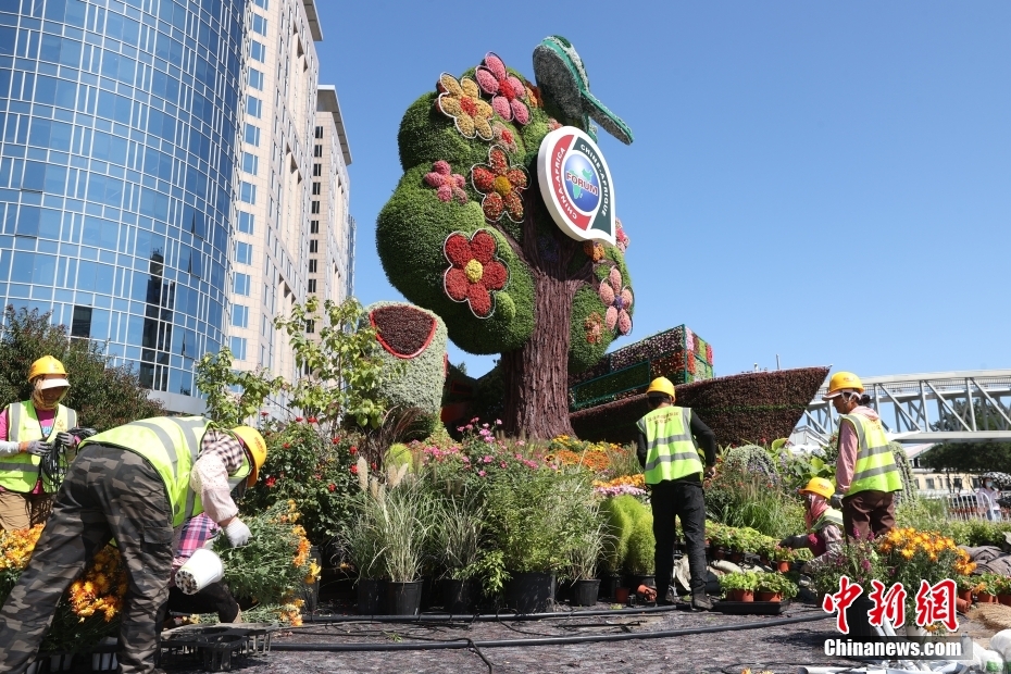 Canteiros temáticos instalados em Beijing para Fórum de Coopera??o China-áfrica