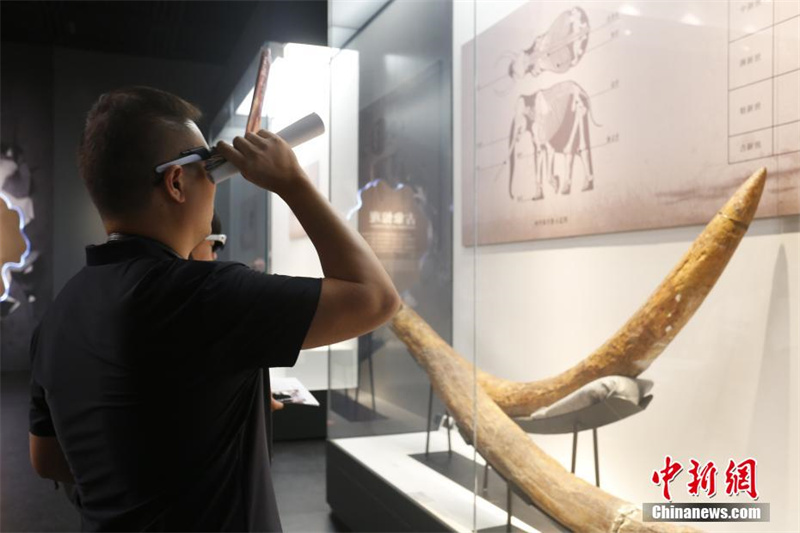 Museu de Zhengzhou: tecnologia digital confere nova vida às exposi??es