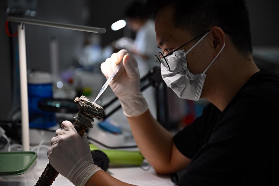 Equipe restaura relíquias recuperadas de naufrágios no Mar do Sul da China