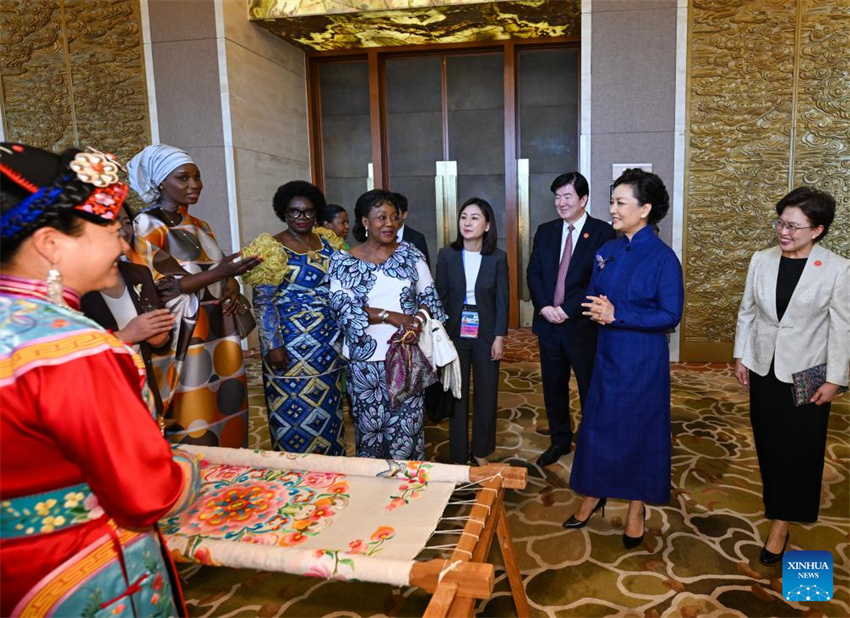 Peng Liyuan e c?njuges de líderes africanos participam de reuni?o sobre educa??o de mulheres
