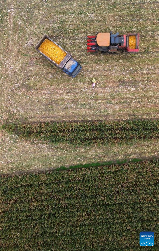 Galeria: colheita de outono em Shandong