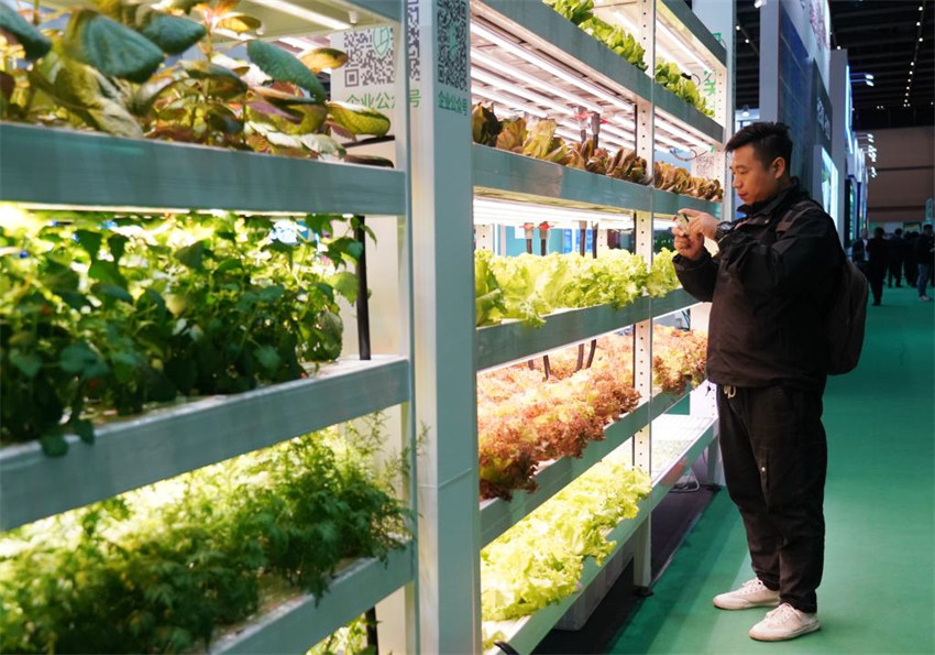 Conferência Mundial de Inova??o Agroalimentar de 2024 é realizada em Beijing