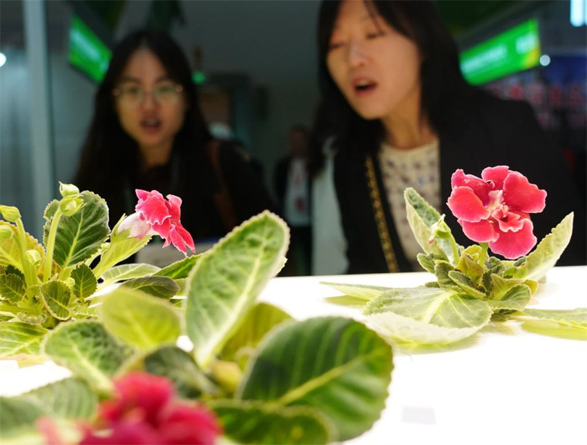 Conferência Mundial de Inova??o Agroalimentar de 2024 é realizada em Beijing