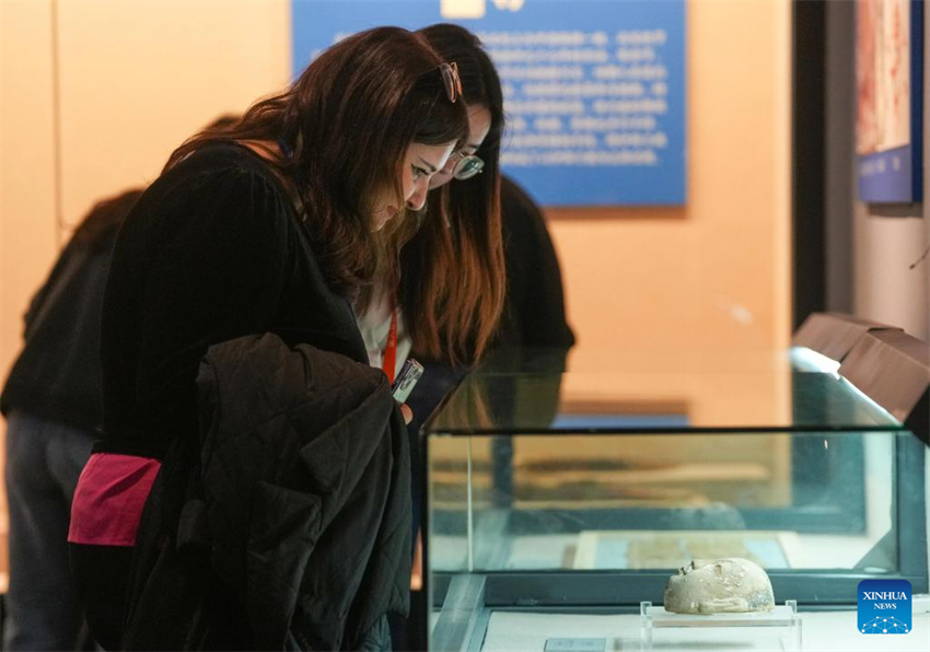 Participantes da 6a Cúpula Mundial de Mídia visitam Xinjiang