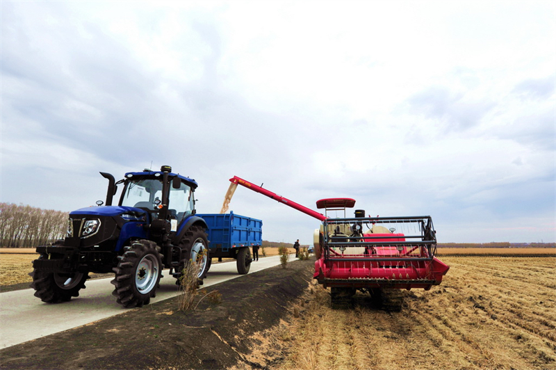 Veículos aut?nomos se destacam na colheita de outono do nordeste da China