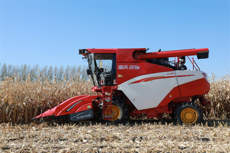 Veículos aut?nomos se destacam na colheita de outono do nordeste da China