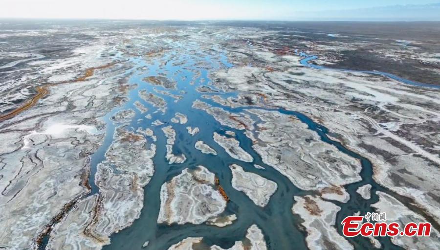 Milhares de aves migratórias descansam nos pantanos do lago Gascule, no noroeste da China