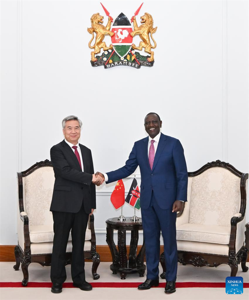 Funcionário sênior do PCCh promete promover coopera??o China-Quênia