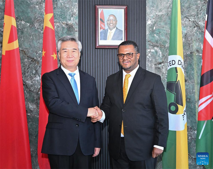 Funcionário sênior do PCCh promete promover coopera??o China-Quênia