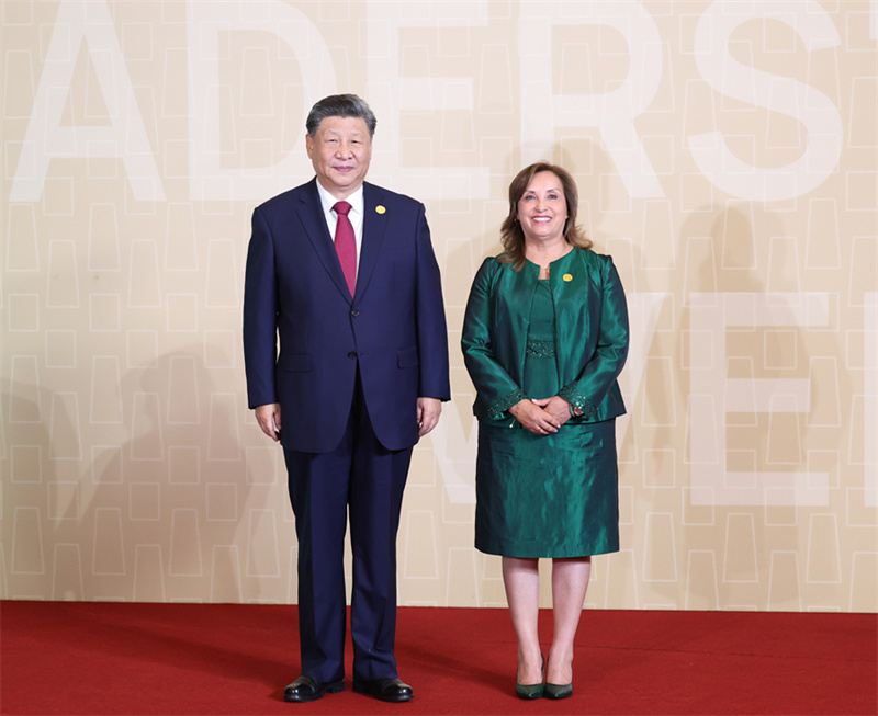 Xi Jinping apresenta propostas-chave para a promo??o conjunta do desenvolvimento da ásia-Pacífico