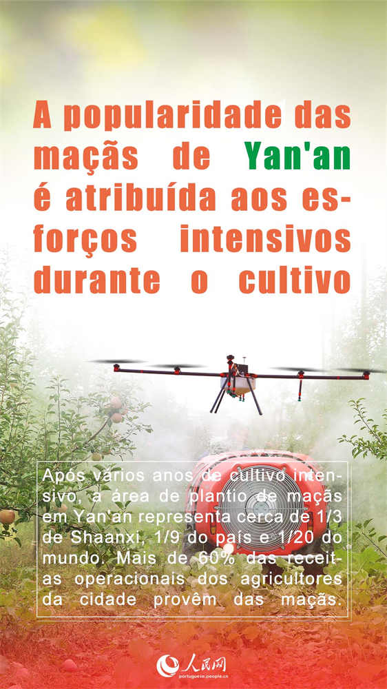 Porque se tornaram t?o populares as ma??s de Yan’an?