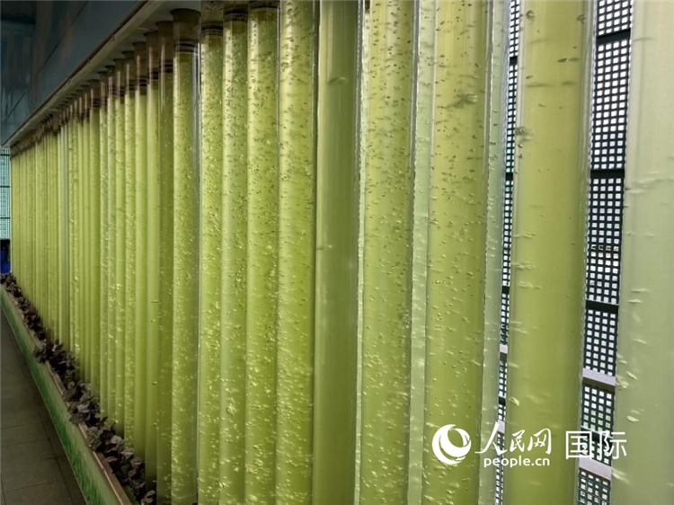 Shenzhen com solu??o inovadora para ambientes fechados