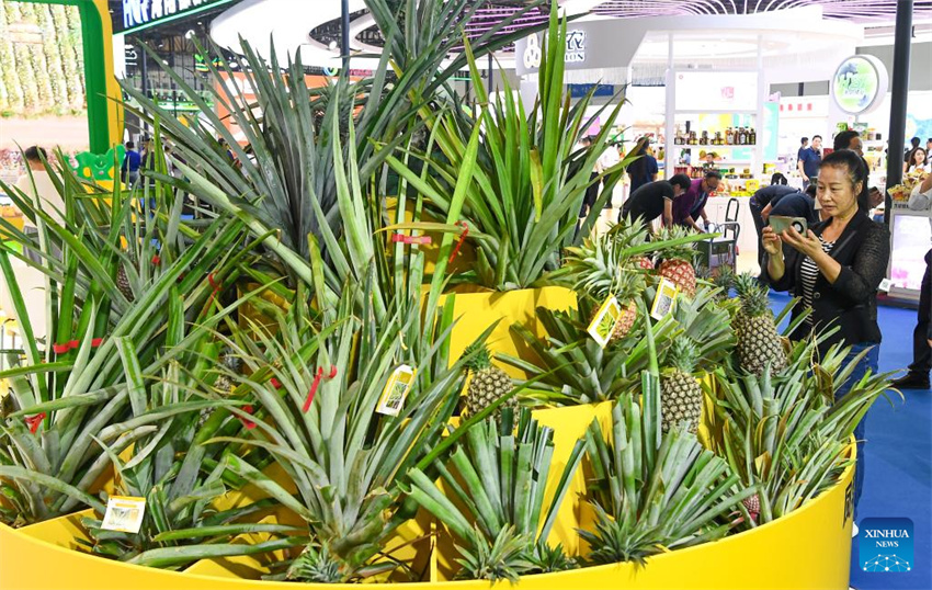 27a Feira Internacional de Inverno da China (Hainan) inaugura em Haikou