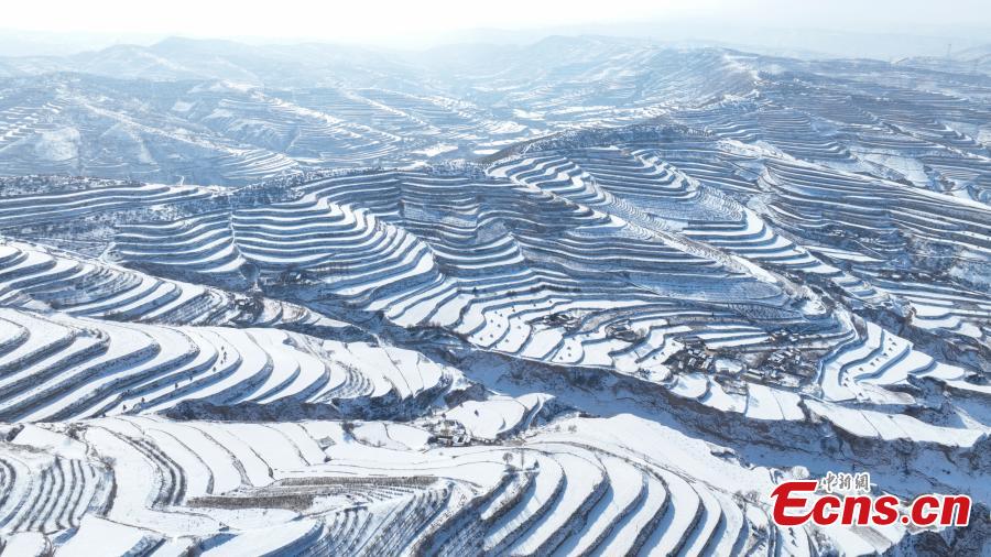 Campos em terra?os cobertos de neve se assemelham às 