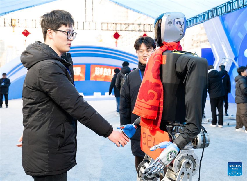 Rob?s humanóides da série 