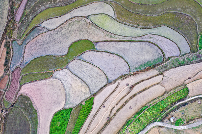 Galeria: regi?es agrícolas de guizhou acumulam água para a primavera, no sudoeste da China