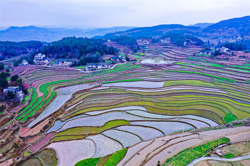 Galeria: regi?es agrícolas de guizhou acumulam água para a primavera, no sudoeste da China