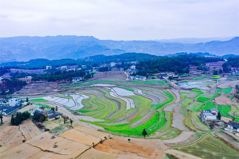 Galeria: regi?es agrícolas de guizhou acumulam água para a primavera, no sudoeste da China