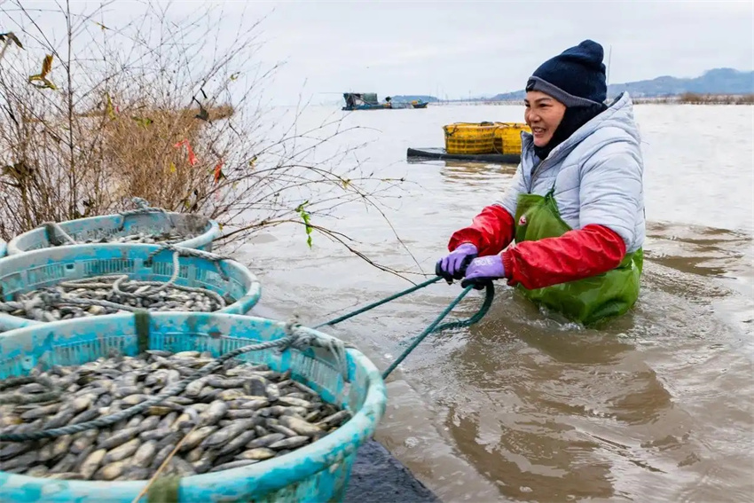 Esta??o agrícola da primavera avan?a em toda a China
