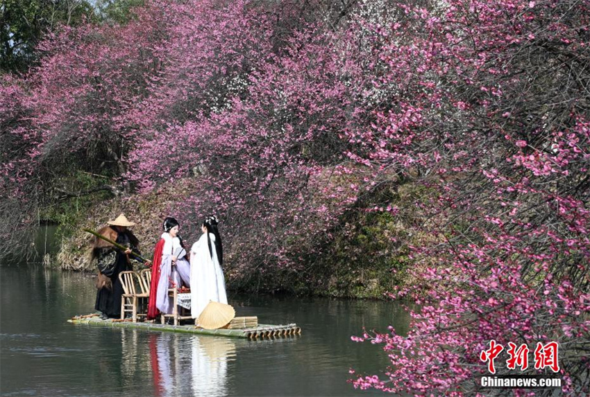 Galeria: flores de ameixeira florescem em Zhejiang, leste da China