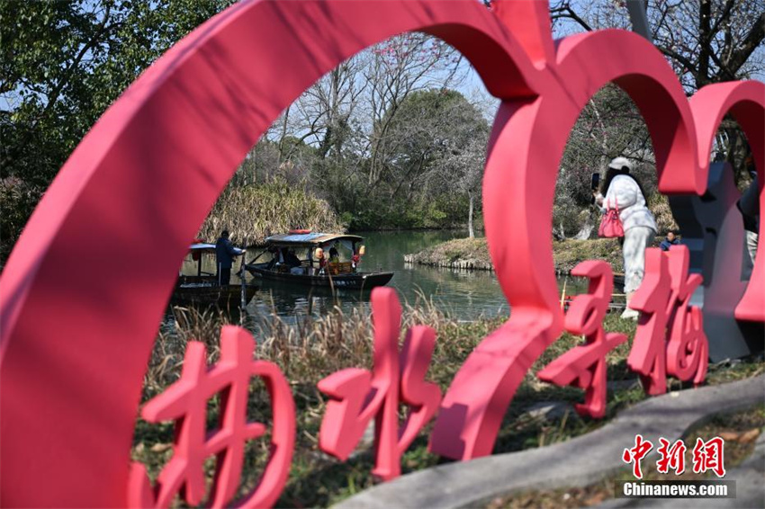 Galeria: flores de ameixeira florescem em Zhejiang, leste da China