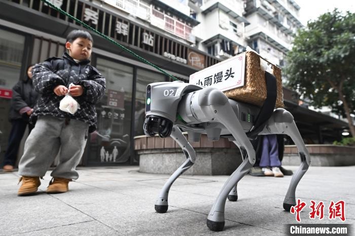 Hangzhou: c?o robótico inicia servi?o comunitário