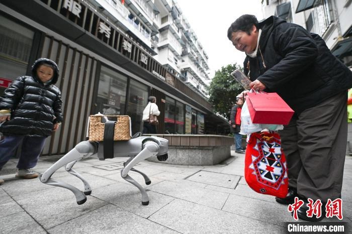 Hangzhou: c?o robótico inicia servi?o comunitário