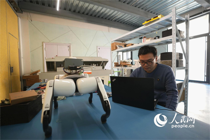 C?o-rob? com inteligência artificial utilizado em estufas de vegetais em Shandong