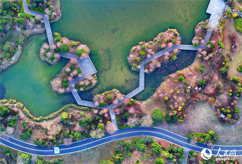 Anyuan aposta na cria??o de espa?os verdes e promove vida saudável