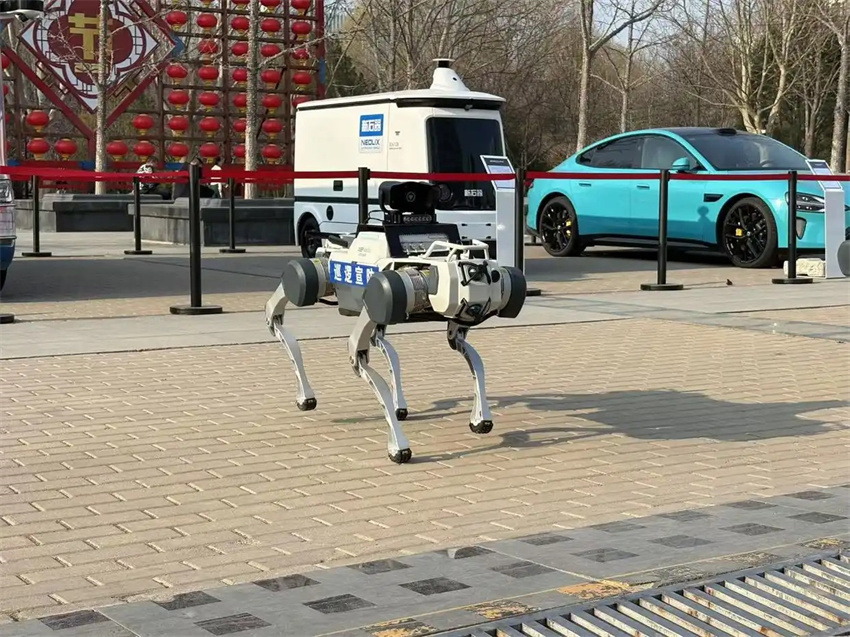 C?es robóticos patrulham parque de Beijing