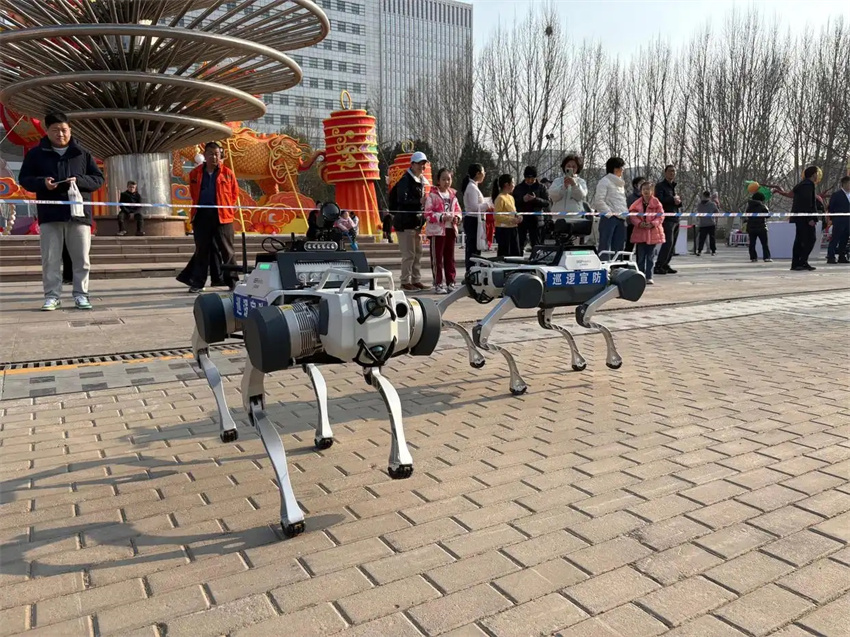 C?es robóticos patrulham parque de Beijing