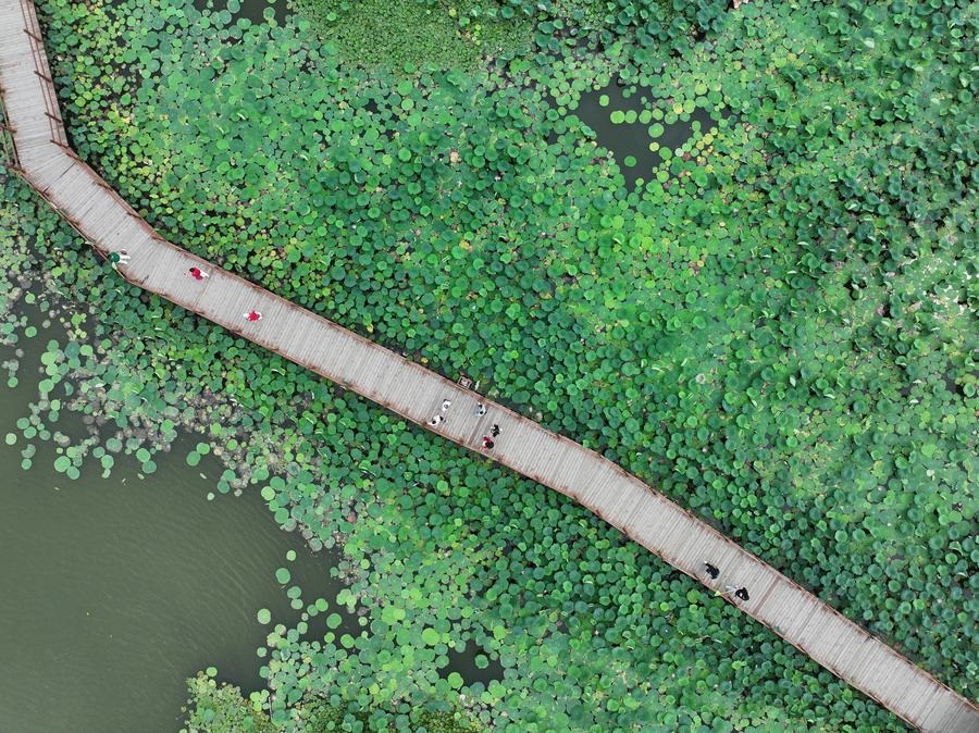 China avan?a na forma??o da Nova área de Xiong'an na China