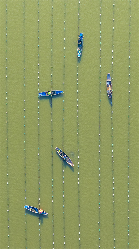 Galeria: cenário de 