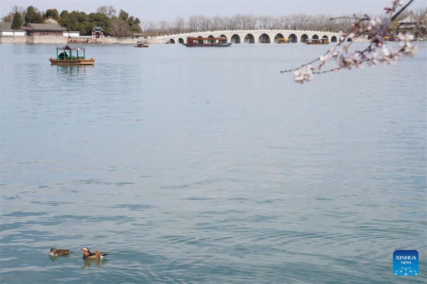 Galeria: Cenário da primavera em toda a China